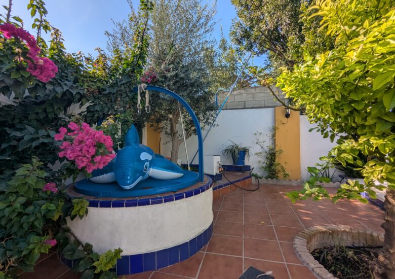 PXL_20251004_091652173-min