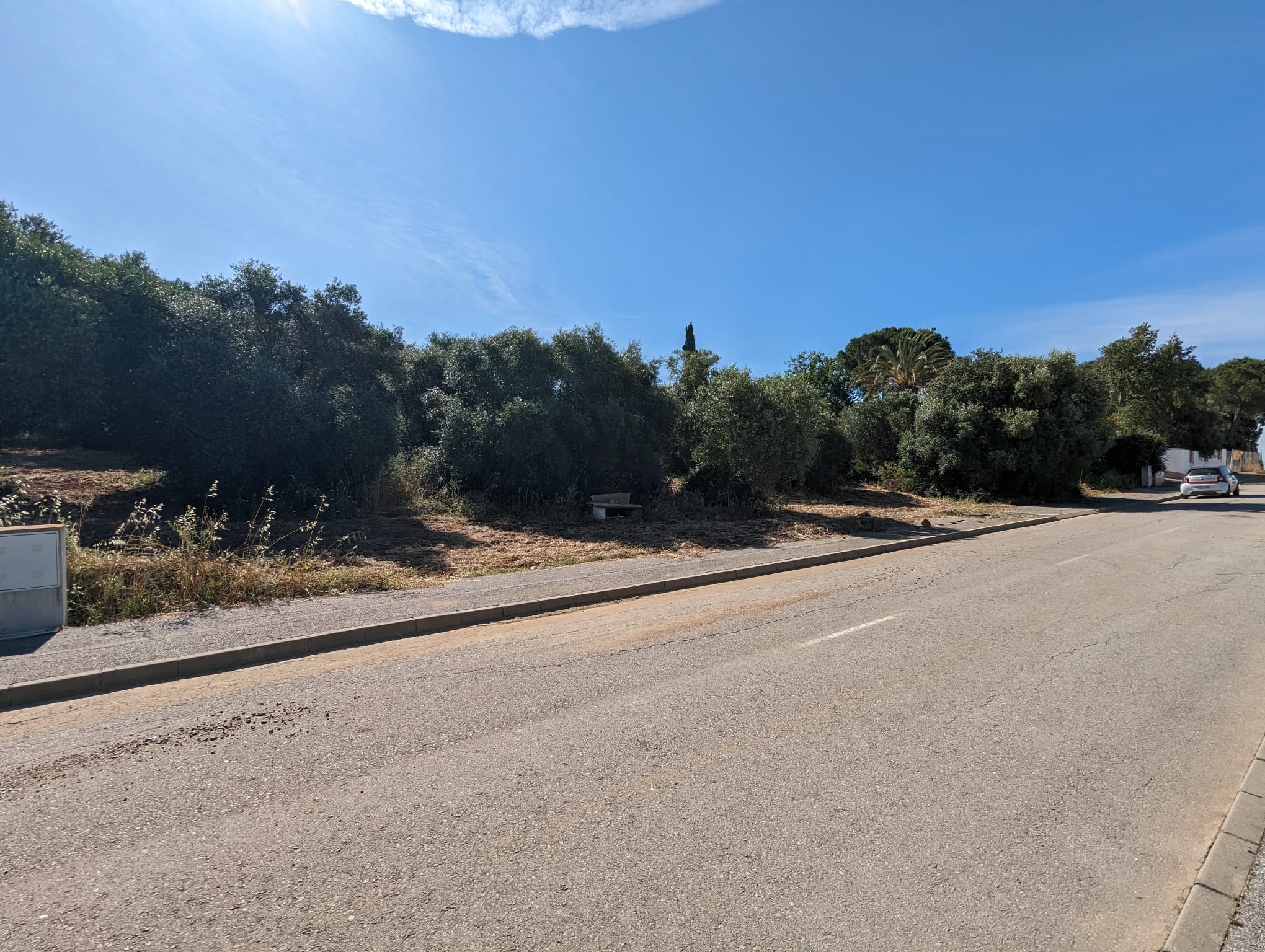 WhatsApp Image 2024-05-17 at 09.36.04 (1)