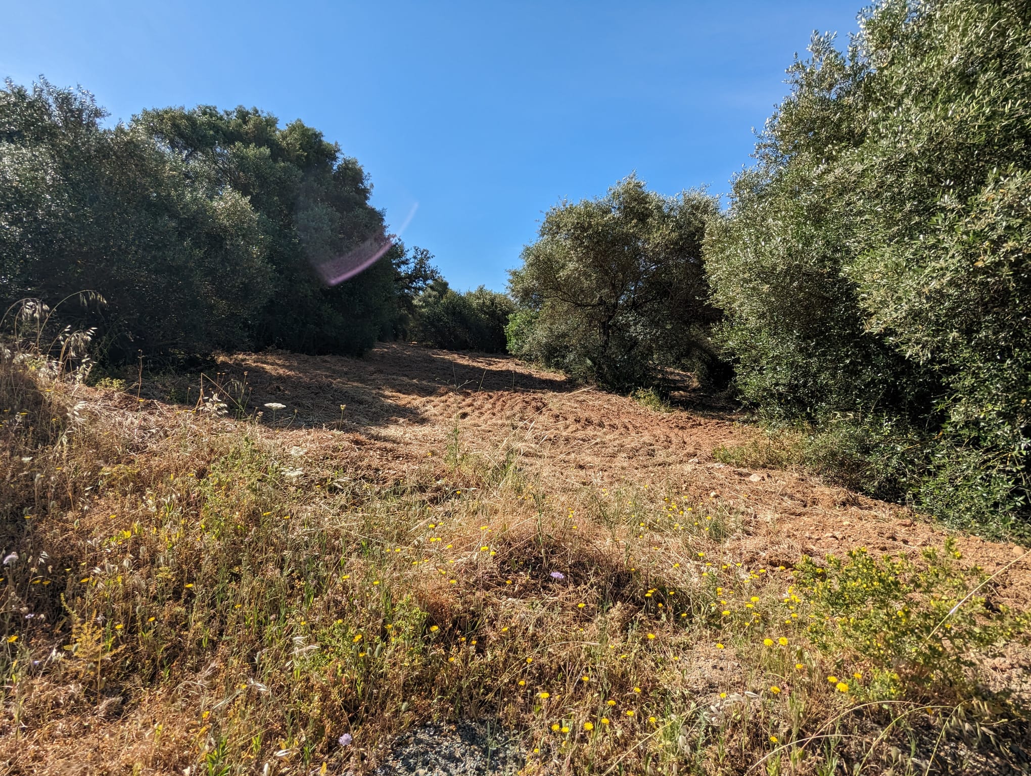 WhatsApp Image 2024-05-17 at 09.36.04 (2)