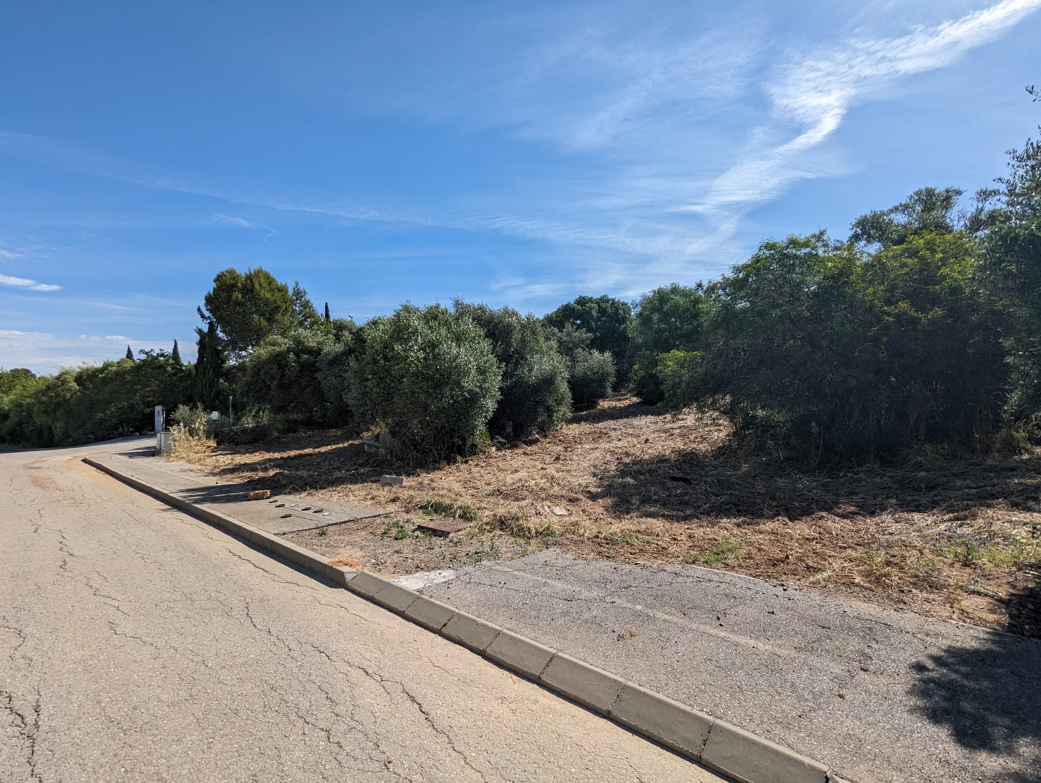 WhatsApp Image 2024-05-17 at 09.36.04 (3)