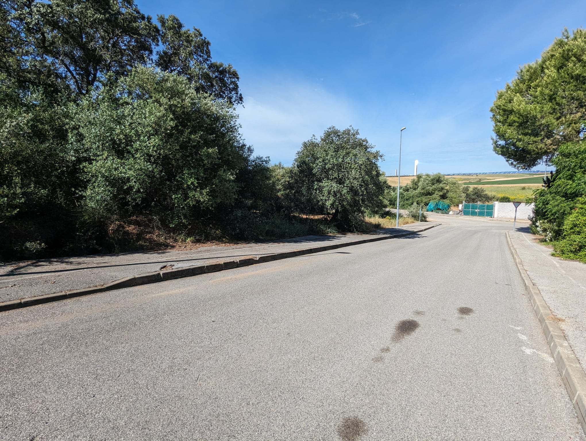 WhatsApp Image 2024-05-17 at 09.36.04 (4)