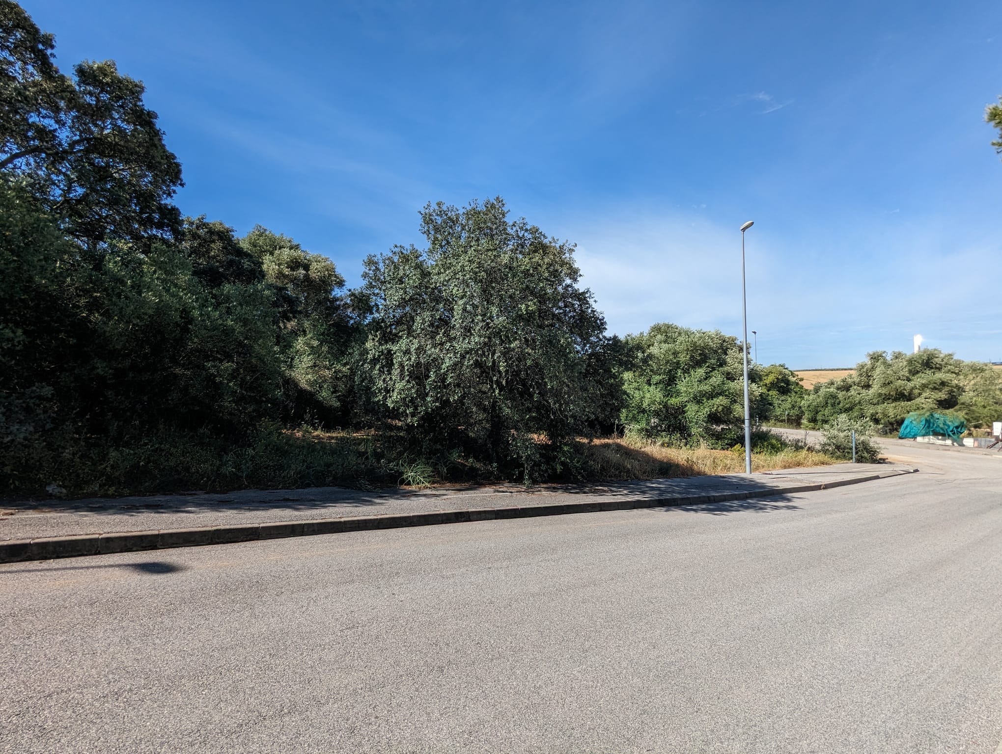 WhatsApp Image 2024-05-17 at 09.36.04