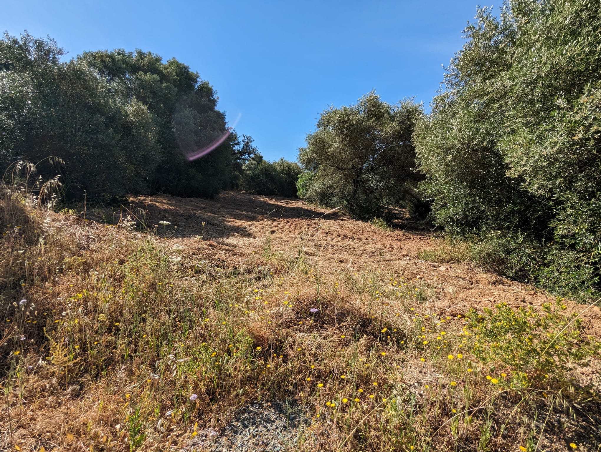 WhatsApp Image 2024-05-17 at 09.36.05 (2)