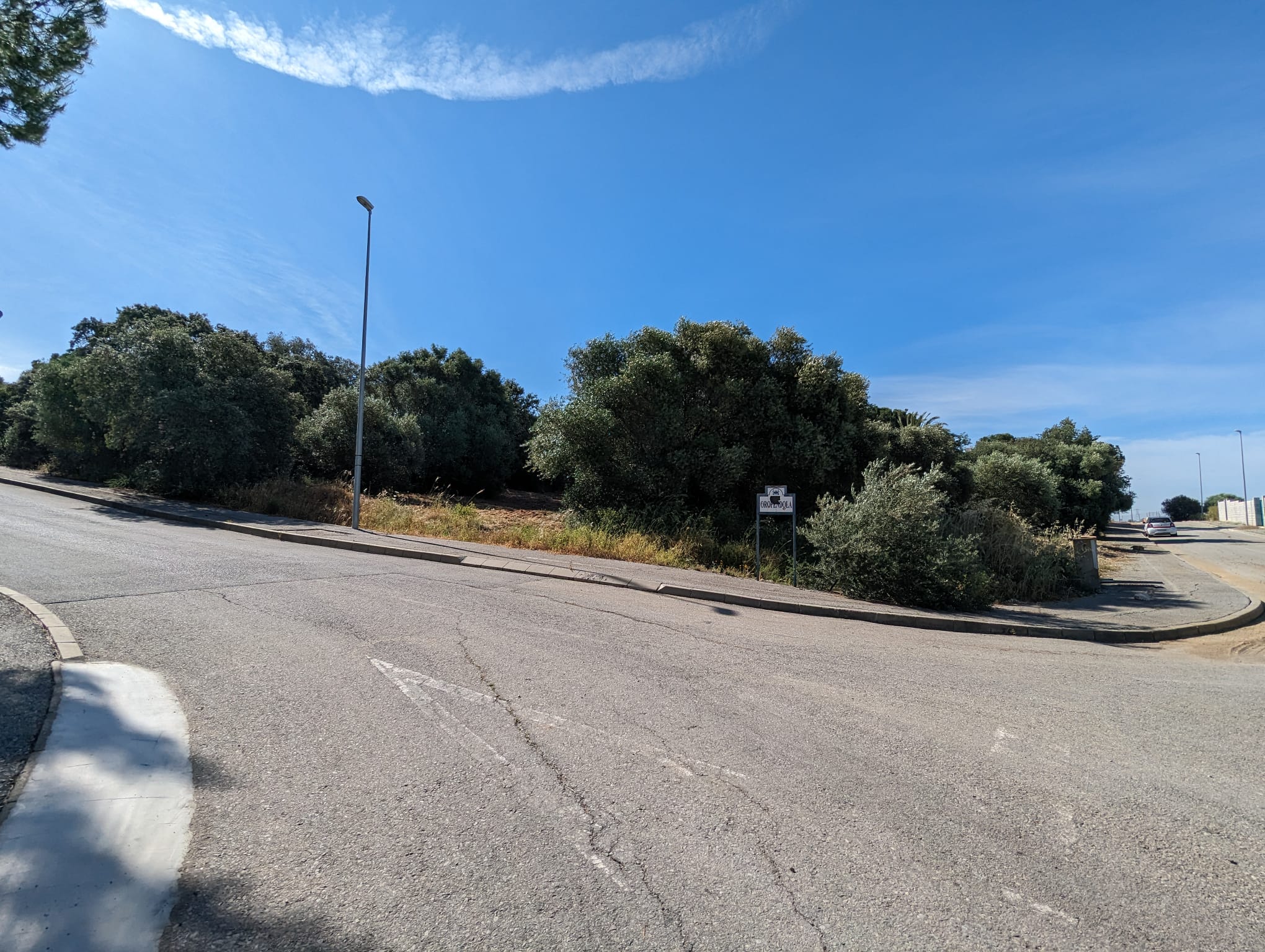 WhatsApp Image 2024-05-17 at 09.36.06