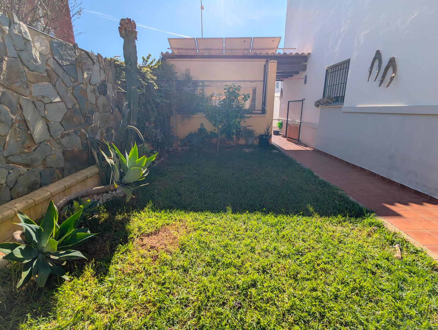 PXL_20241127_113904327_edited