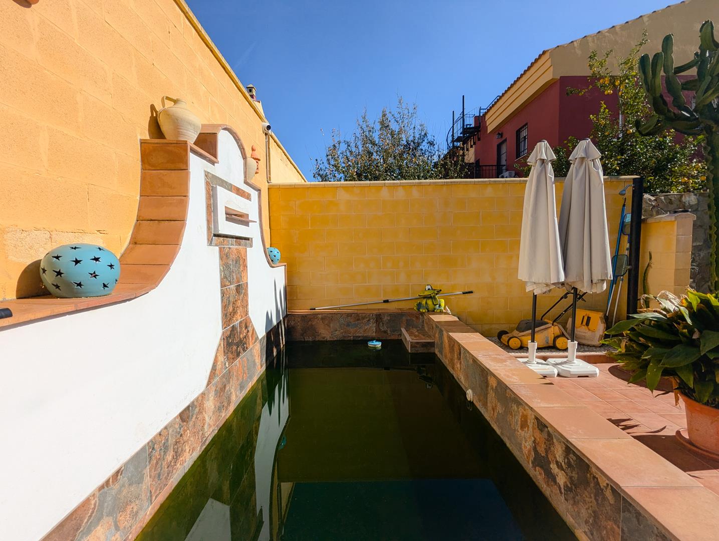 PXL_20241127_114031529_edited