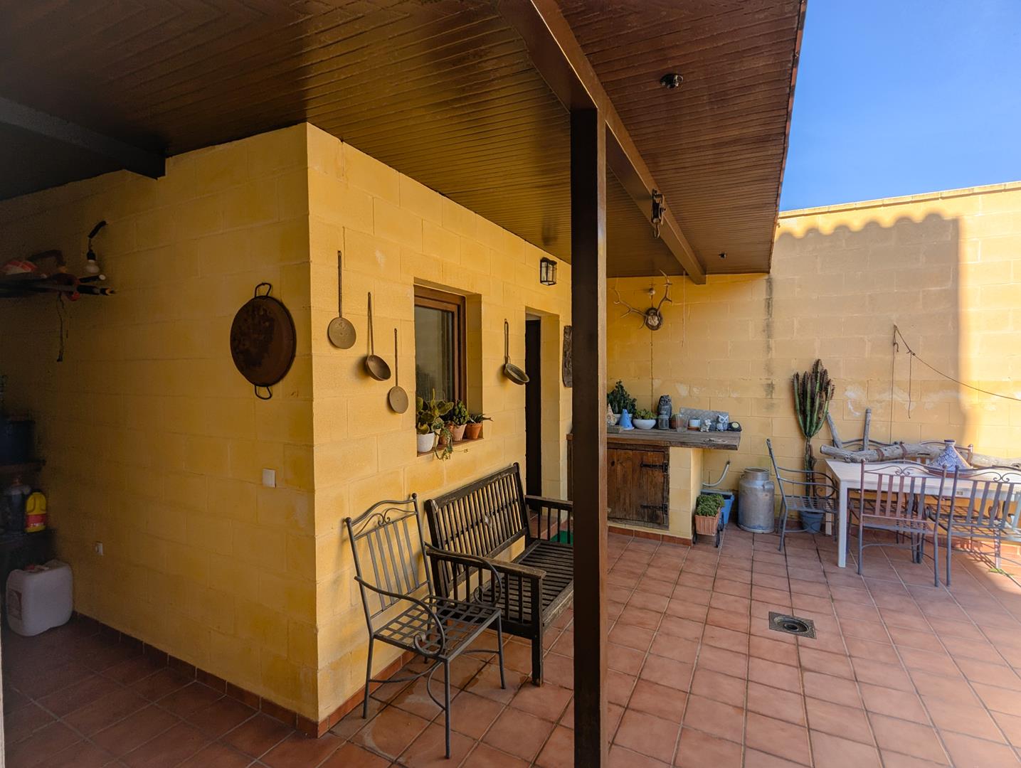 PXL_20241127_114214416_edited