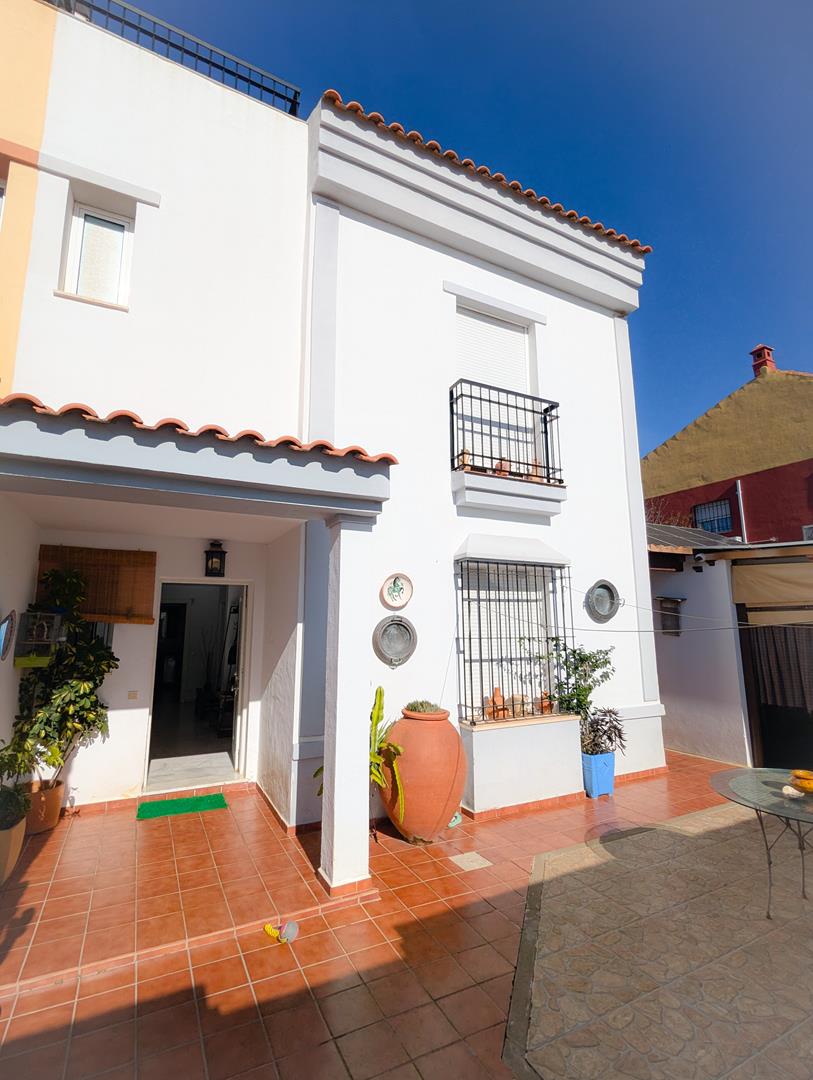 PXL_20241127_115215457_edited