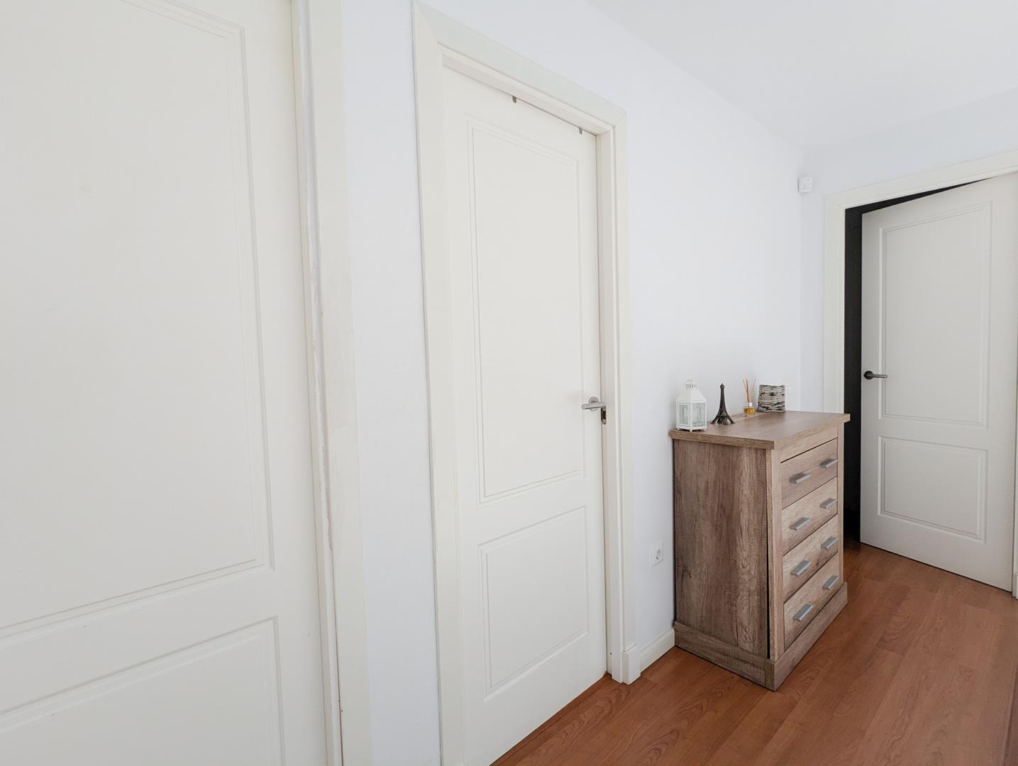 PXL_20241127_115316051_edited