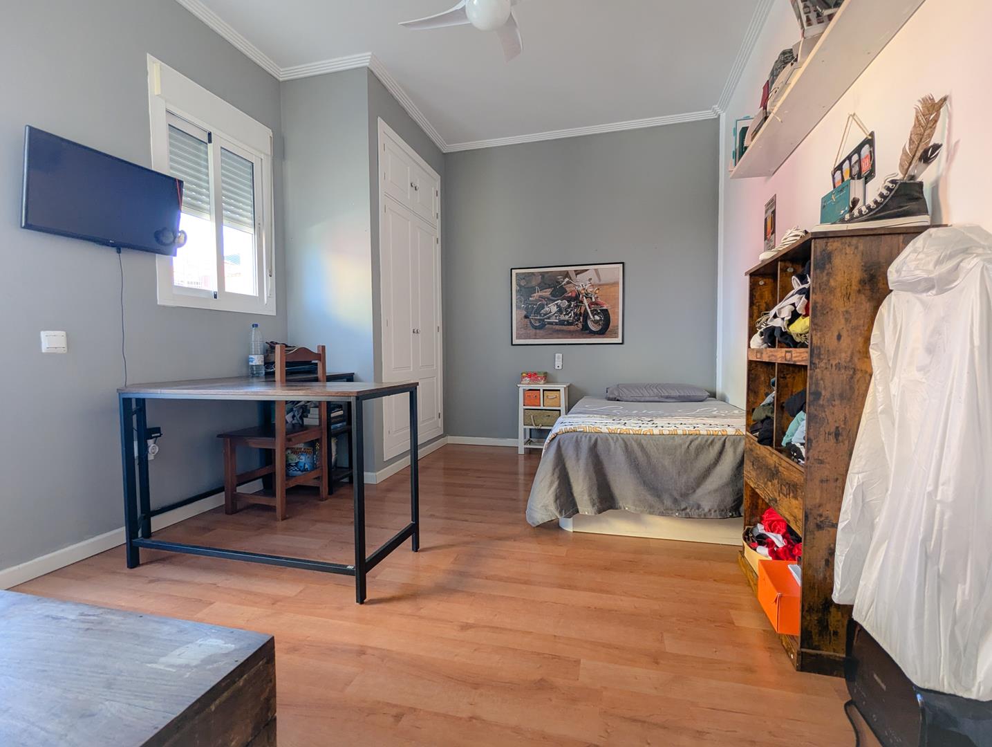 PXL_20241127_115723962_edited