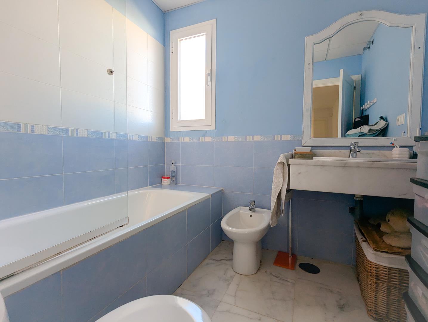 PXL_20241127_115805178_edited