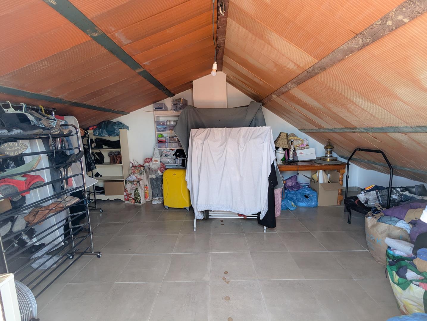 PXL_20241127_115932011_edited