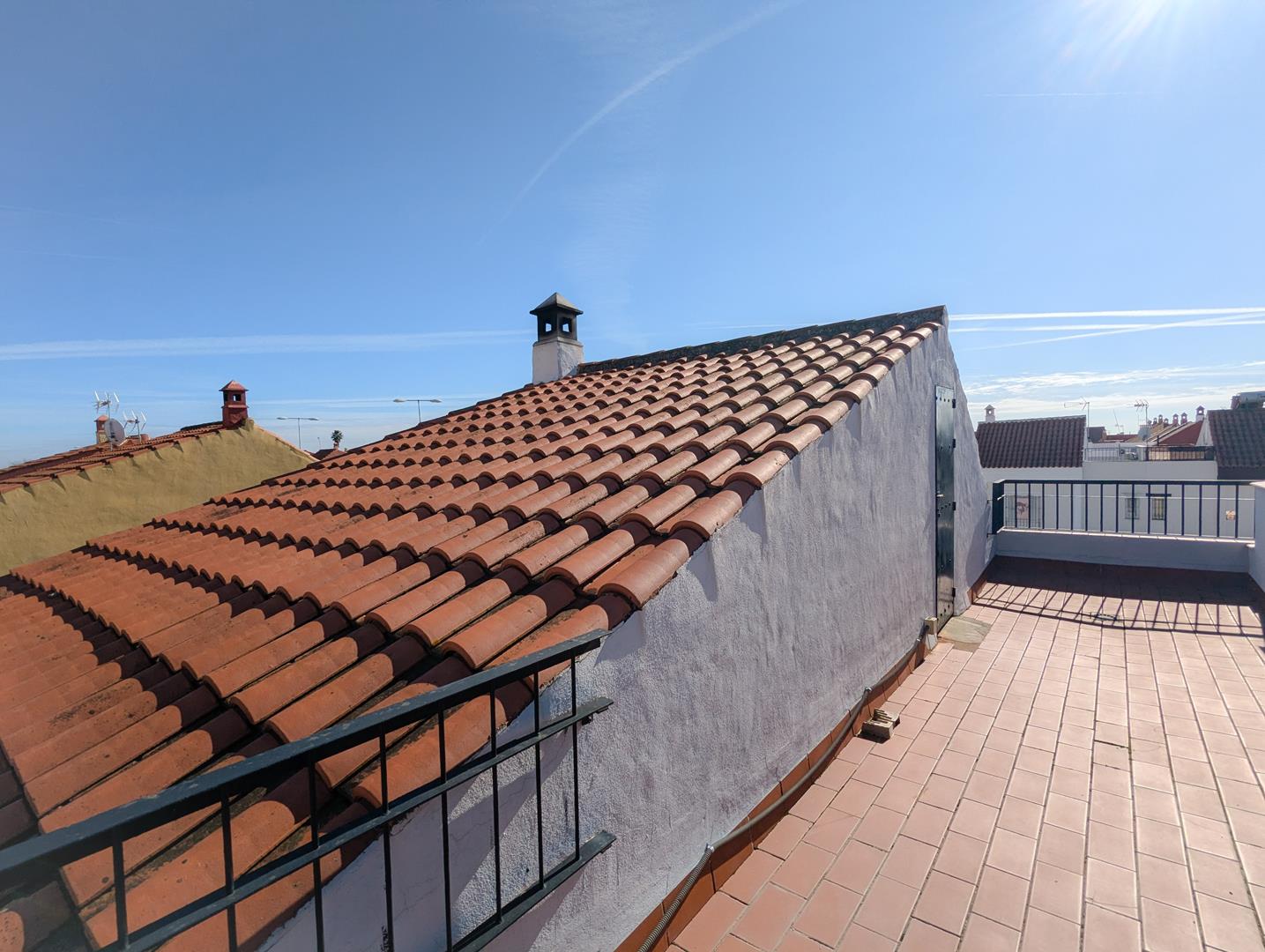 PXL_20241127_115955054_edited