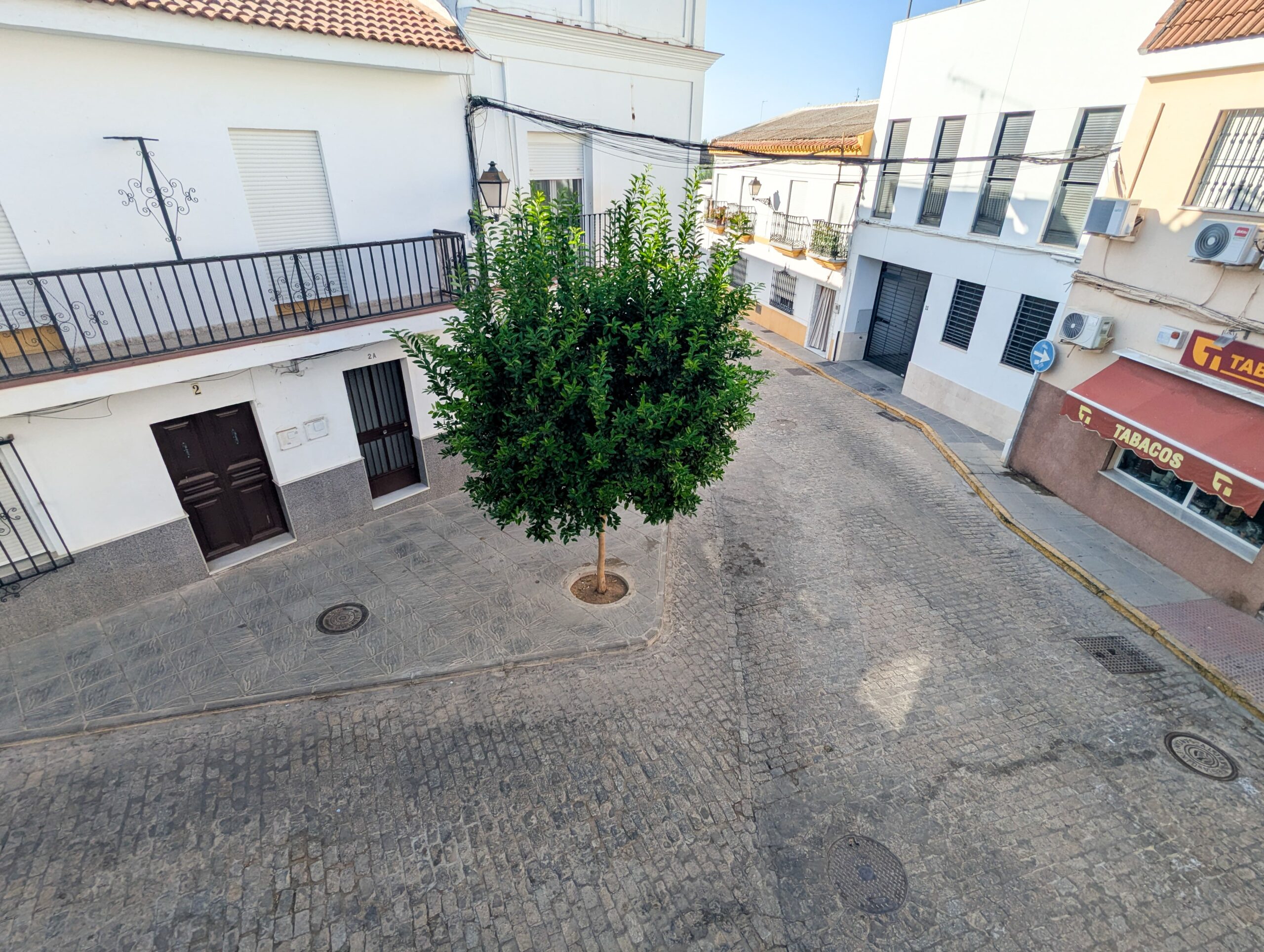 PXL_20250915_161002574-min