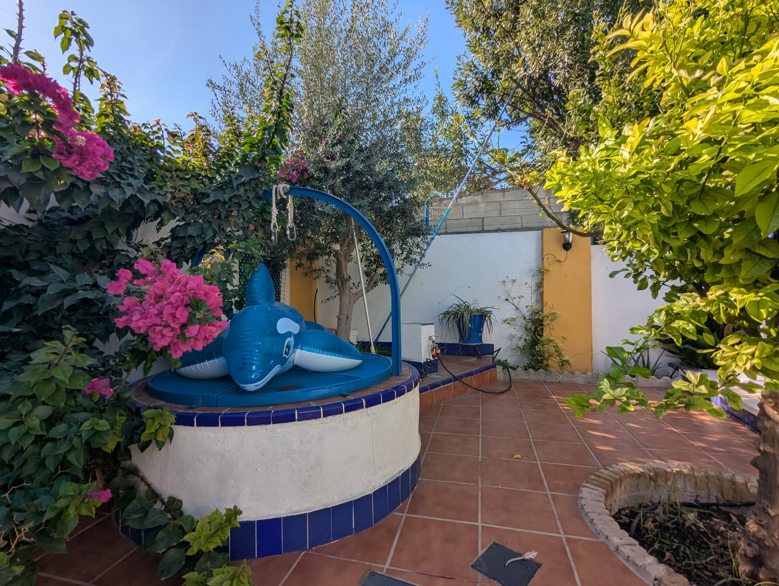 PXL_20251004_091652173-min