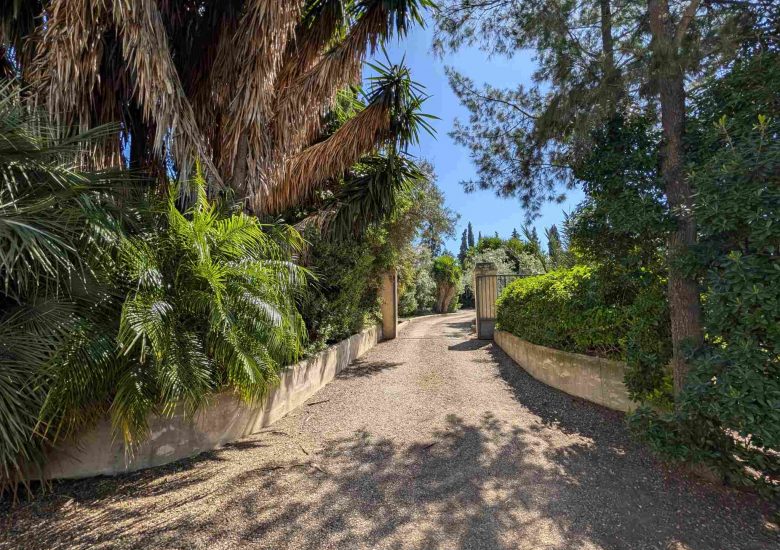 PXL_20260328_110835906_250kb