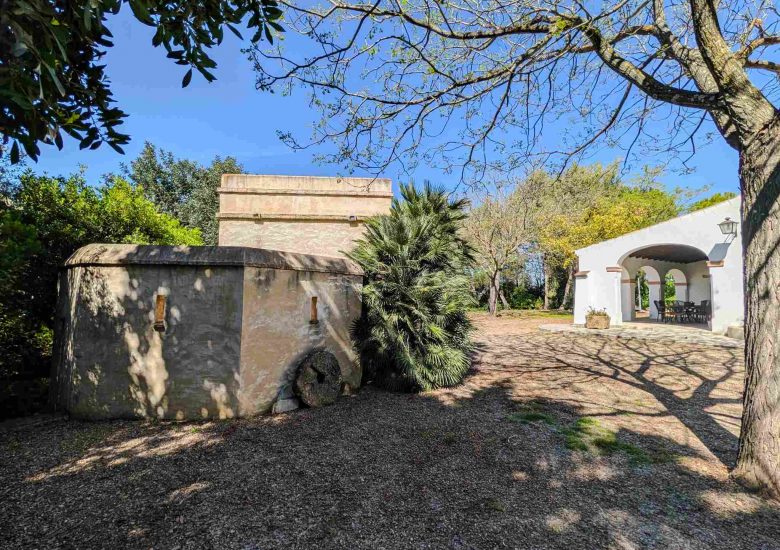 PXL_20260328_110848645_250kb