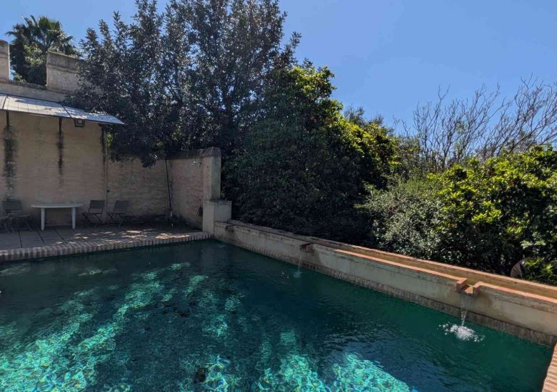 PXL_20260328_111317423_250kb