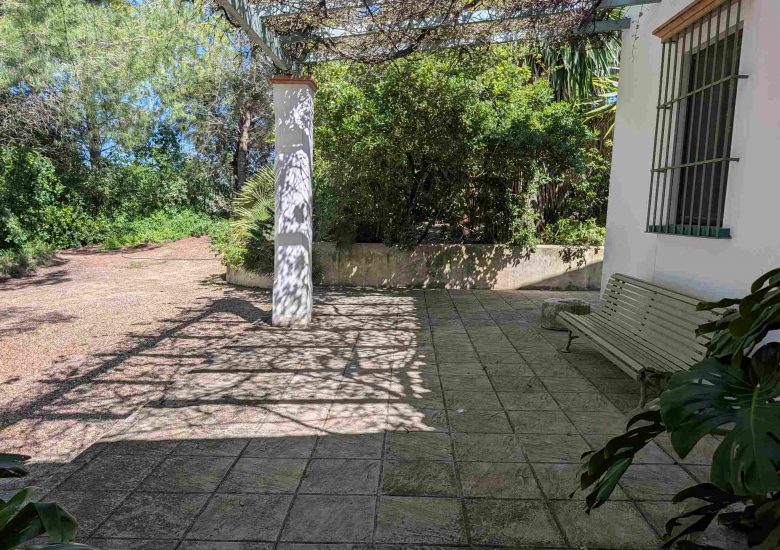 PXL_20260328_111448731_250kb