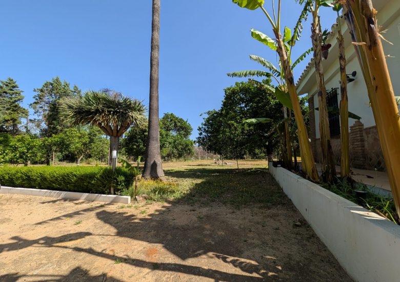 PXL_20260427_094454013