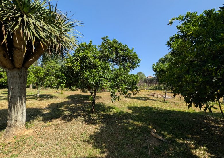 PXL_20260427_094514581