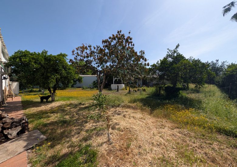 PXL_20260427_094735545