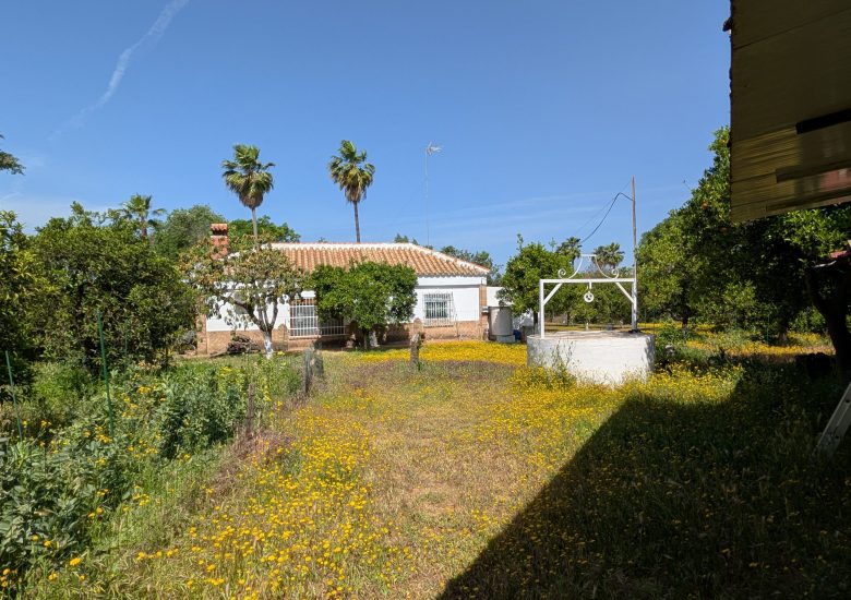 PXL_20260427_095052652