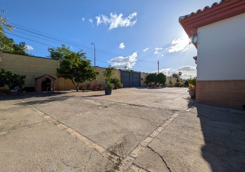 PXL_20260511_171954579
