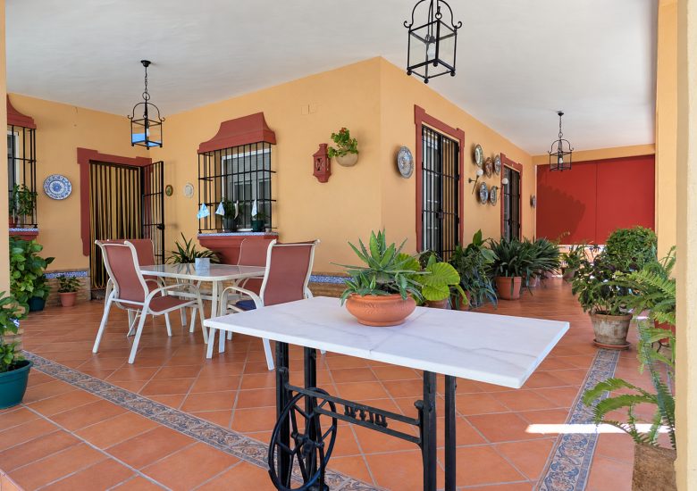 PXL_20260924_104706854_retocada